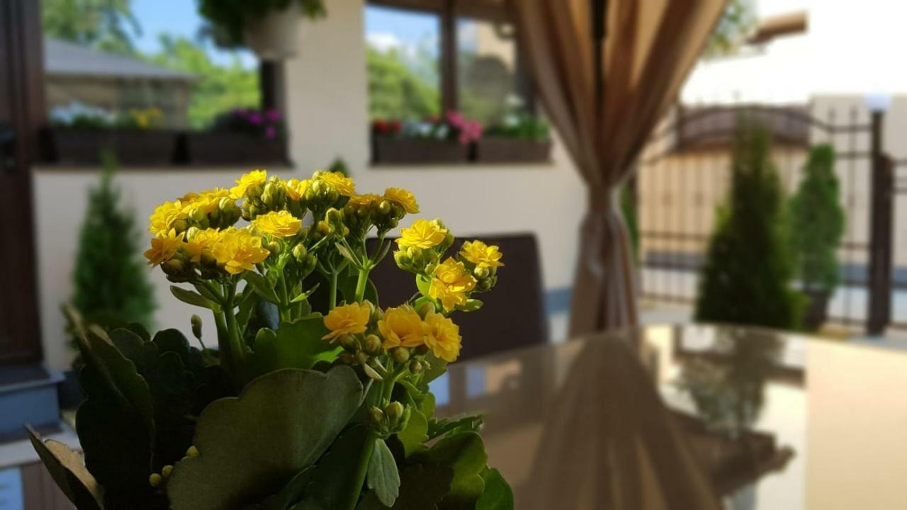 Smart Home Lux Iasi Buitenkant foto